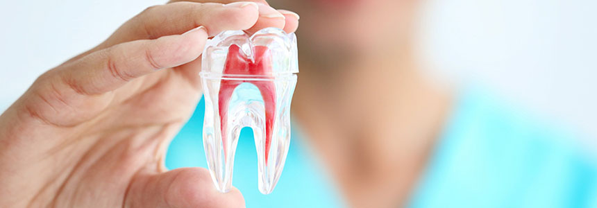 endodontics