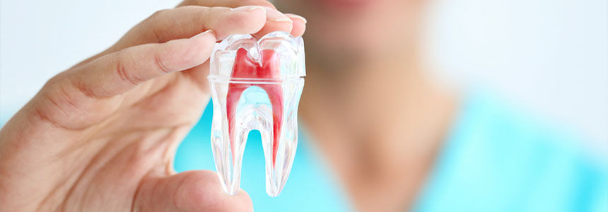 Dr Fernandes Root Canal treatment